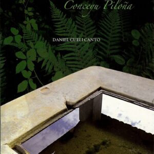 09.- Los llavaderos del Conceyu Piloña