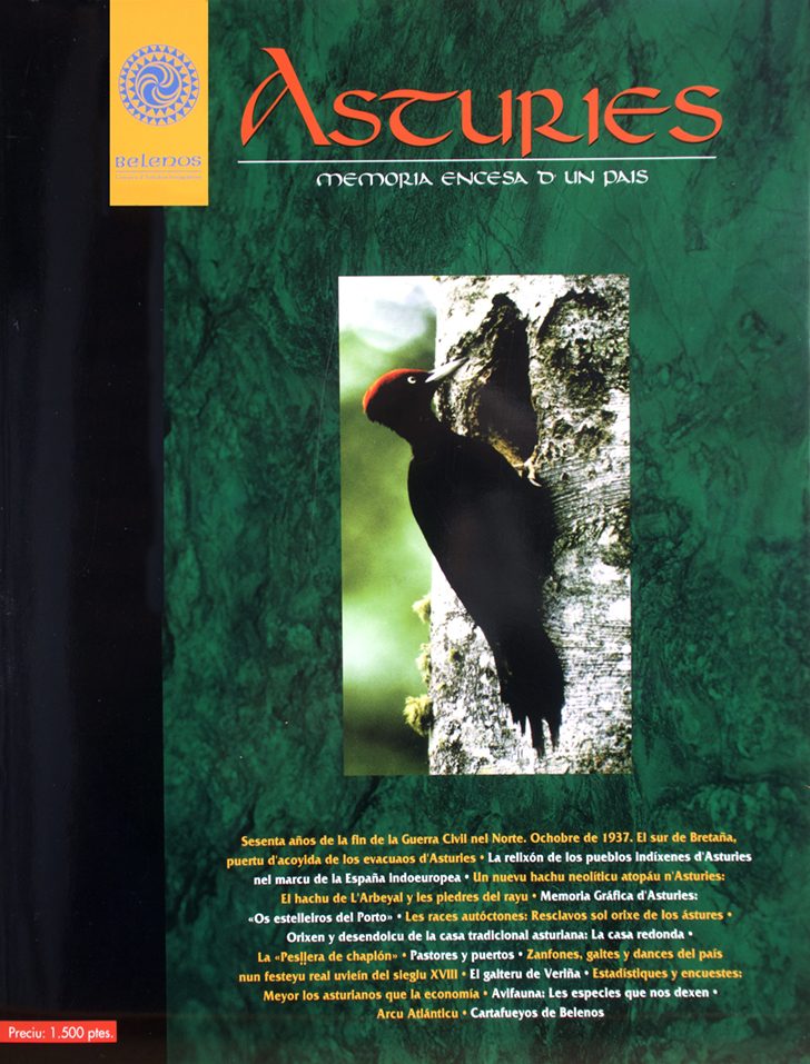 Asturies memoria encesa d'un país, nº4